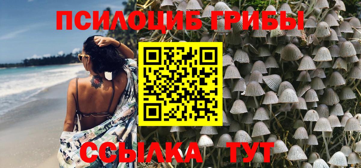 Зима  Галлюциногенные грибы MAGIC MUSHROOMS  где можно купить наркотик  Вход с VPN 