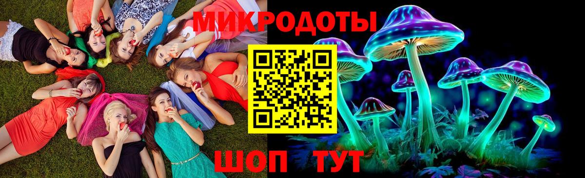 Галлюциногенные грибы Cubensis Зима
